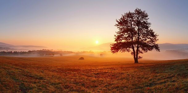 125 Positive Good Morning Quotes for a Great Start to Your Day