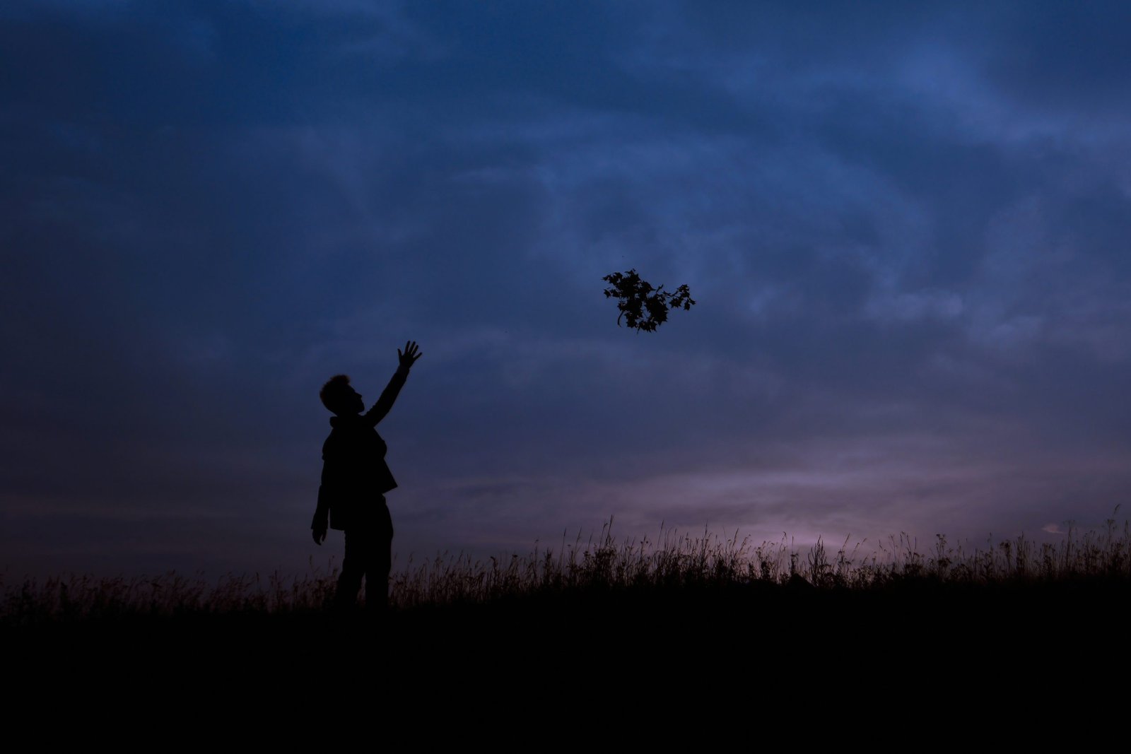 Neuroscience of letting go: why desperation blocks your goals