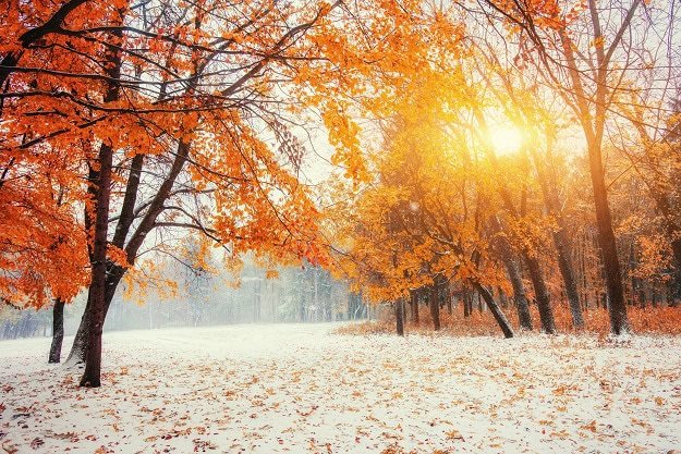 Uplifting, Funny and Inspirational Sayings