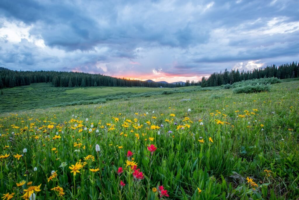 Spring is here - Positive Mindset - Beyond Bend